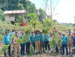 Pemkab Konkep Tebarkan Minat Bertani Para Pemuda